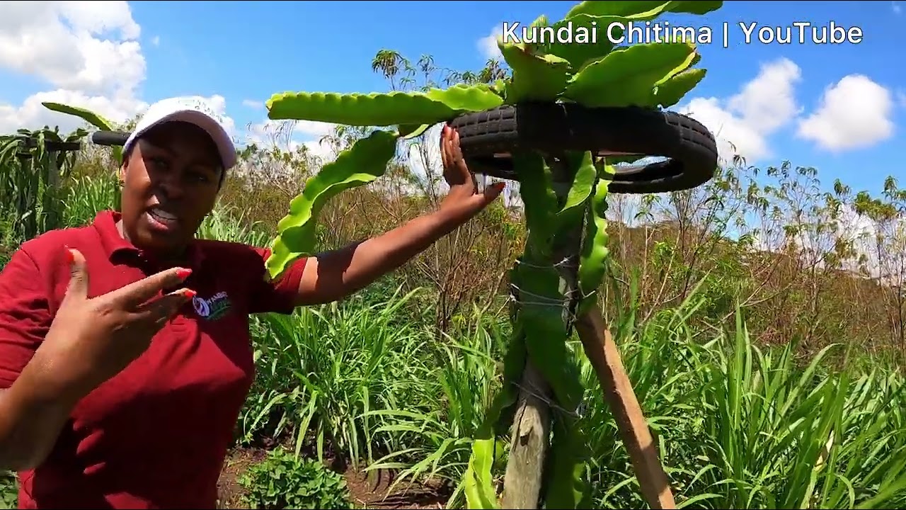 How She Is Making Millions With Fruits Deep In Rural Kenya 🇰🇪