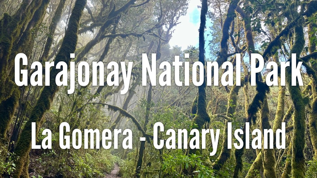 Garajonay National Park - La Gomera, Canary Island (4K)