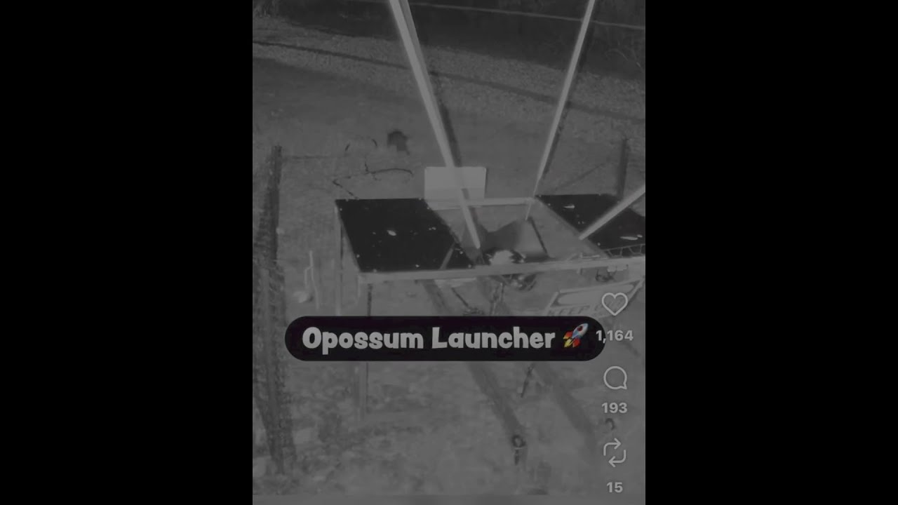 Youtuber Removes Video of Opossum Launch