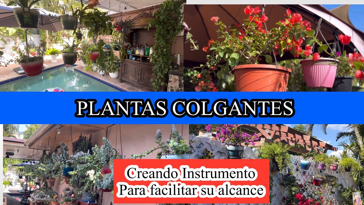 MACETAS COLGANTES, creación de un instrumento para facilitar el trabajo con ellas. 