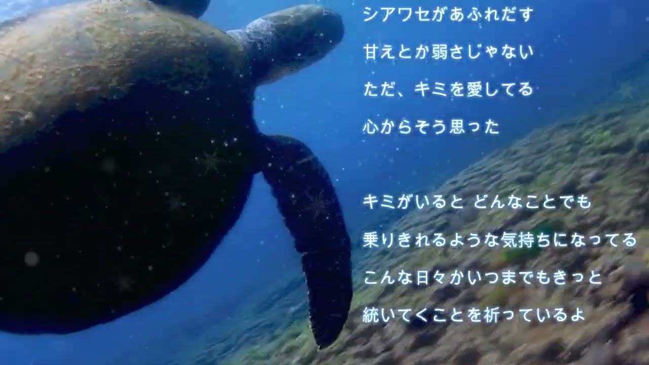 カメの華