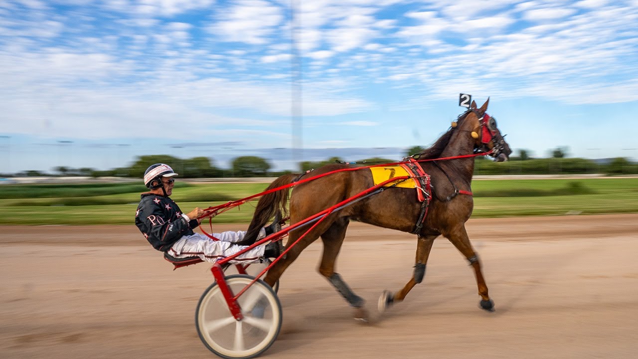 Roaming Edition , Tir Prince Harness Racing , 24 June 2023.