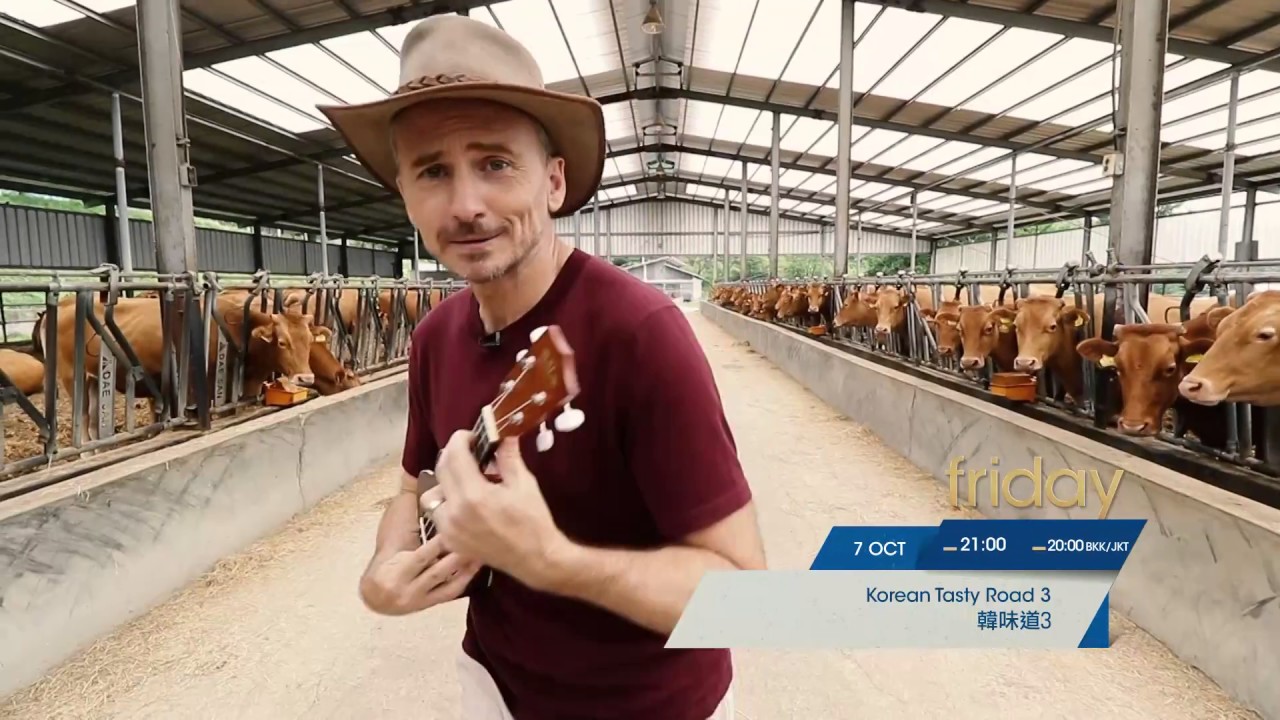 Tribe tvN 