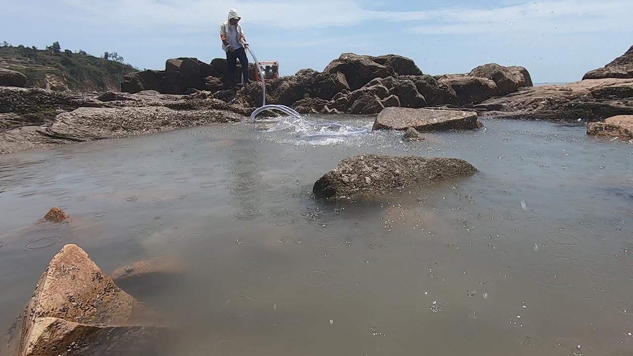 抽干靠海最近的大坑，坑底“群蛇乱舞”让人大开眼界，海货抓到爽
