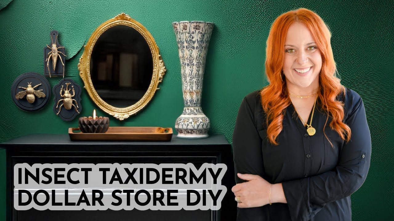 Controversial Dollar Store Home Decor! - Insect Taxidermy?!