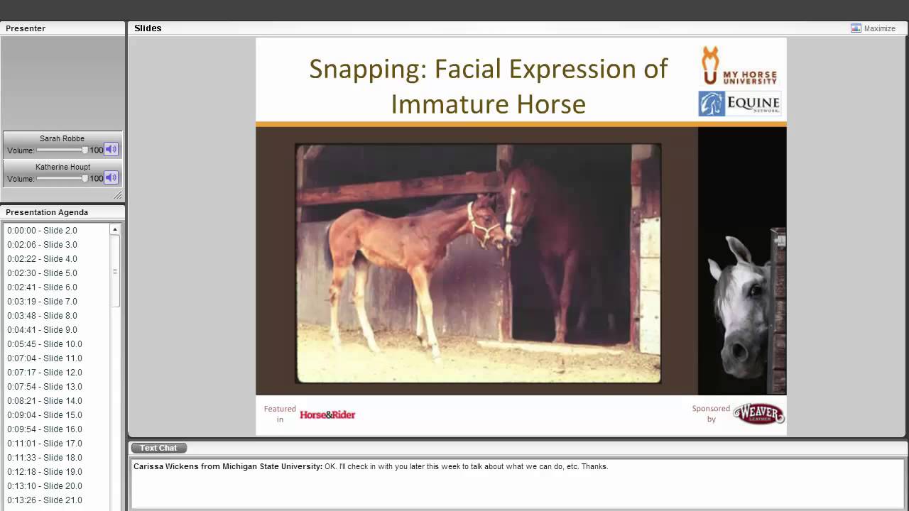 Understanding Horse Body Language