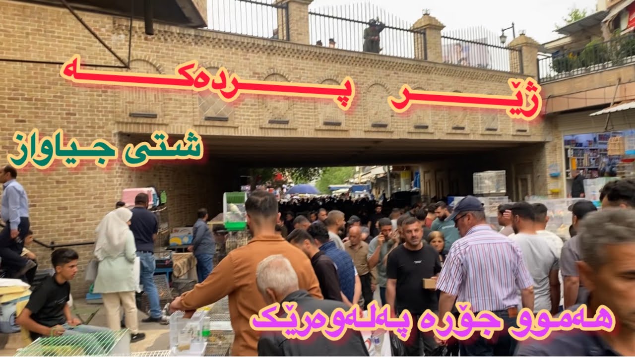 ڤلۆگی ژێر پردەکەی سلێمانی ، شتی جیاواز ، بۆ کوردانی هەندەران و ئاشقانی سلێمانی