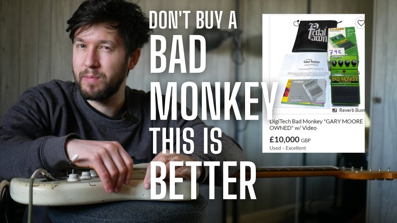 Don't Buy a BAD MONKEY - Try This Instead - Seymour Duncan 805