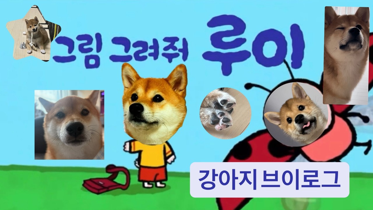 강아지 소개&브이로그 🐕 | 시바견 | shibainu | cute dog | dog vlog #cute #dog