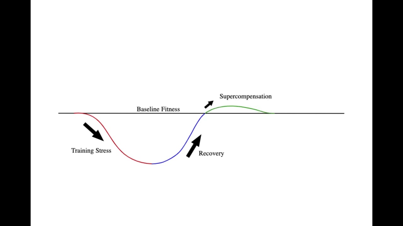 General Adaptation Syndrome (GAS)