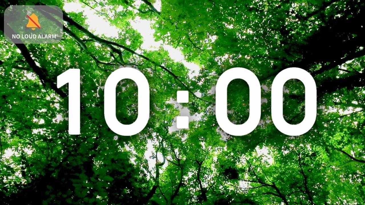 10 Minute Timer with Music — Calm Gentle Piano Forest Ambience with Birds — NO LOUD ALARM