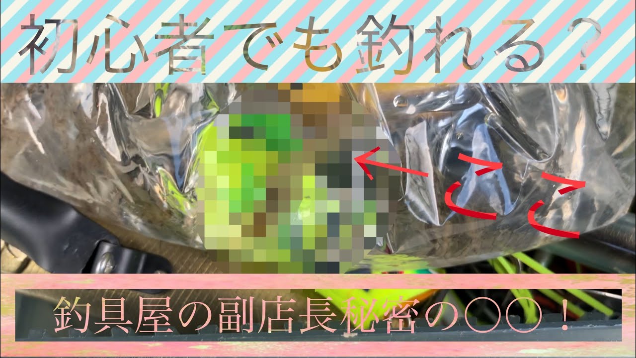 秋は荒食い？どうやって釣るの？釣り具屋の副店長が教える答えとは？