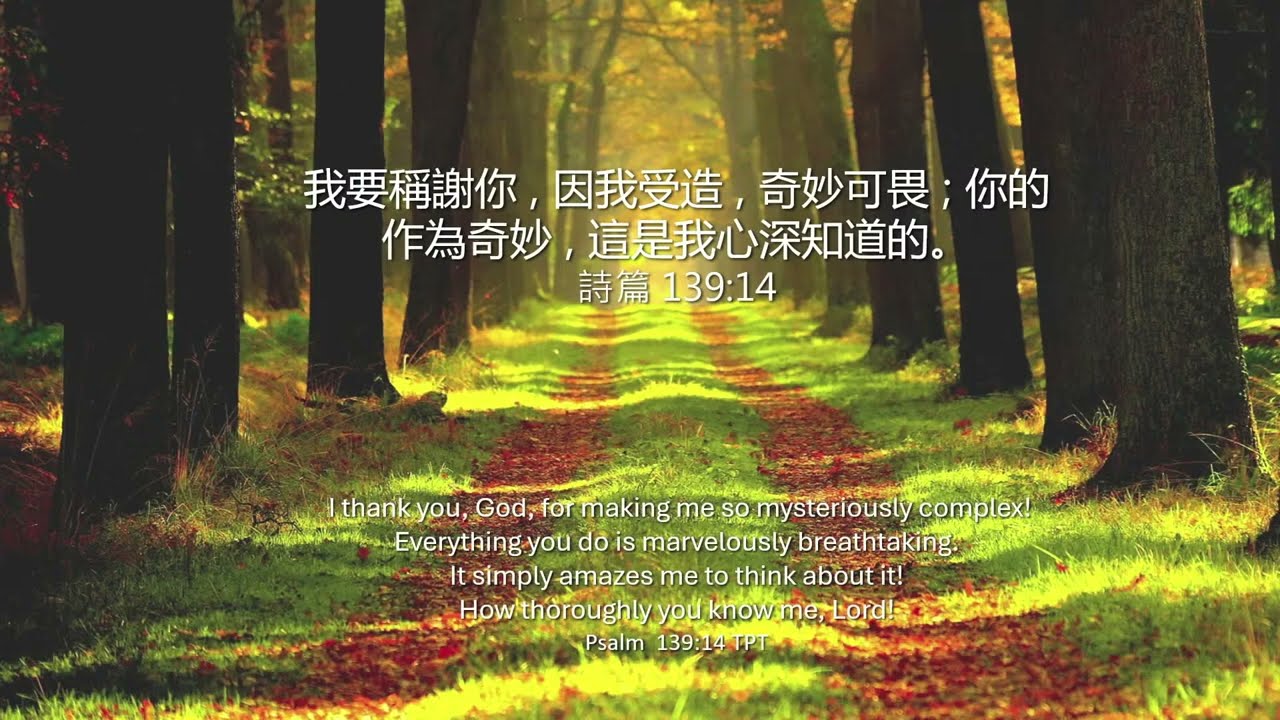 2024_9_3 等候神聚會 Wait Upon God Service