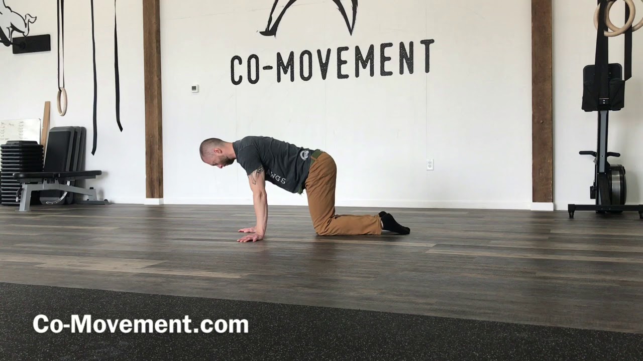 QDR Push-up Beginner
