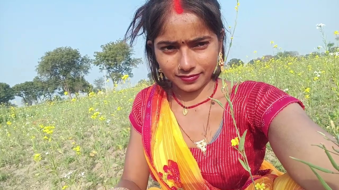 आज हम आए हैं मायके अपने खेत की तरफ आए हैं साग तोड़ने