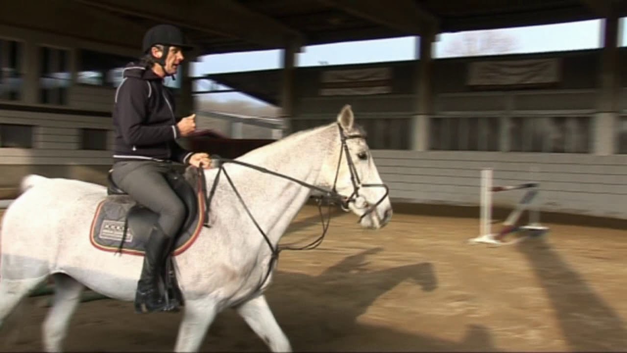 Come affrontare gabbie con altezze impegnative? - Lezioni di equitazione
