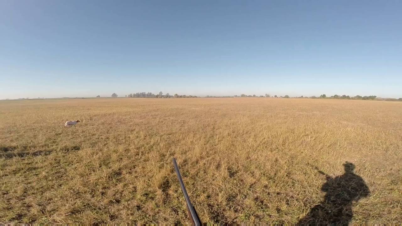 Perdiz Hunt Argentina single