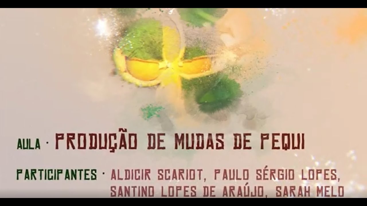Modulo Pequi - Produção de Mudas de Pequi