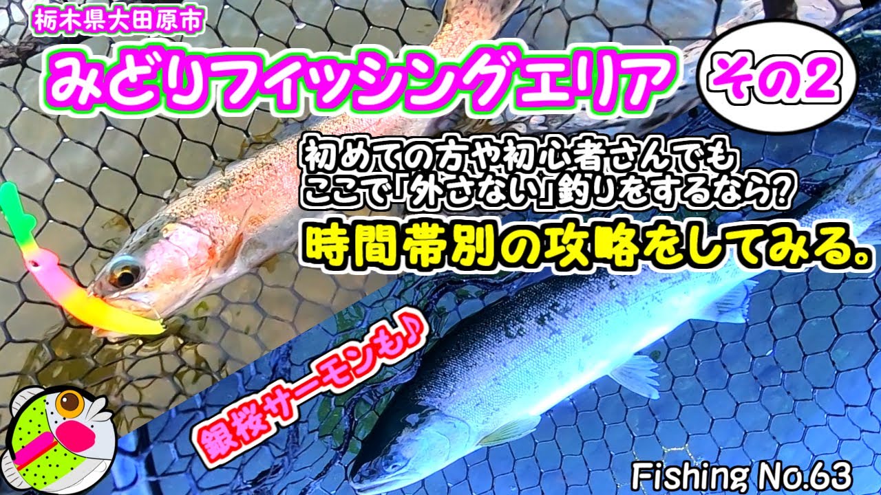 【みどりFA】朝ボトム昼レンジカット夕方トップするだけ【エリアトラウト】