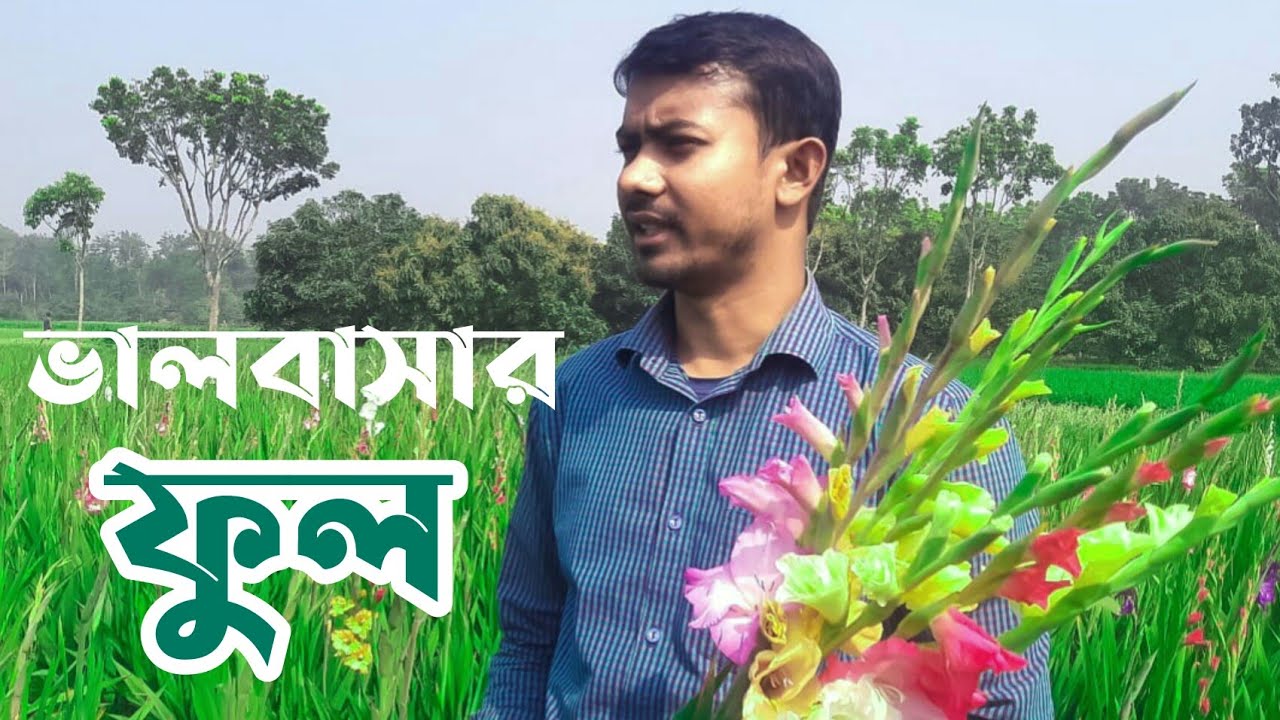 মাত্র ৩ মাস ভালবাসার ফুল চাষে  ৬০ হাজার টাকা আয় বাঘায়   গ্লাডিওলাস ফুল সোহেল  ful shohel bagah arani