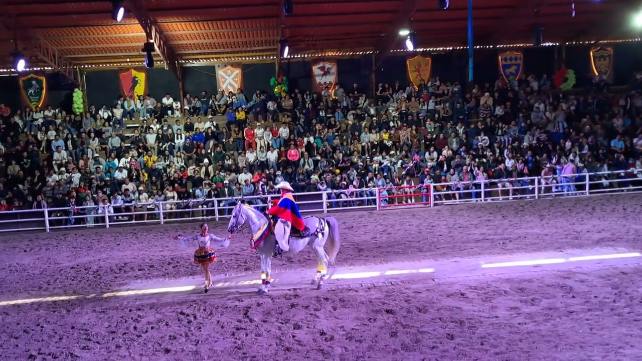 Caballo Ecuatoriano 