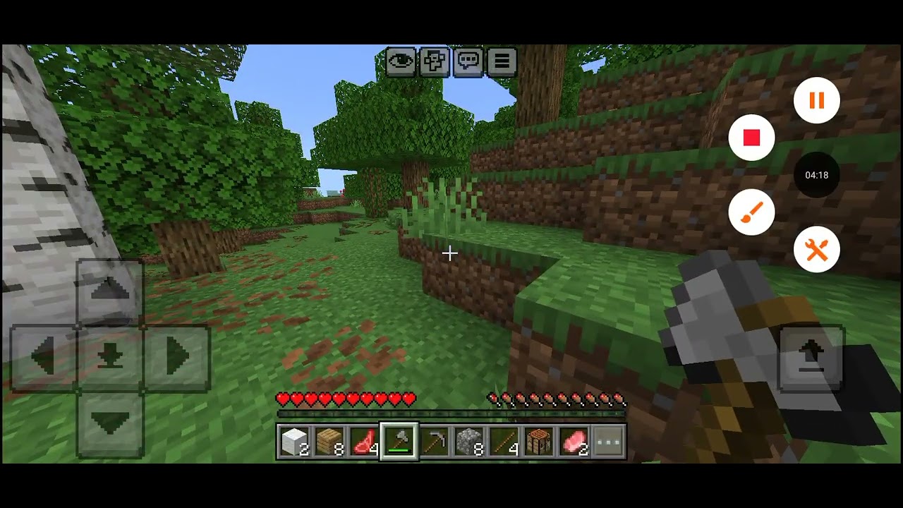 My first video minecraft 