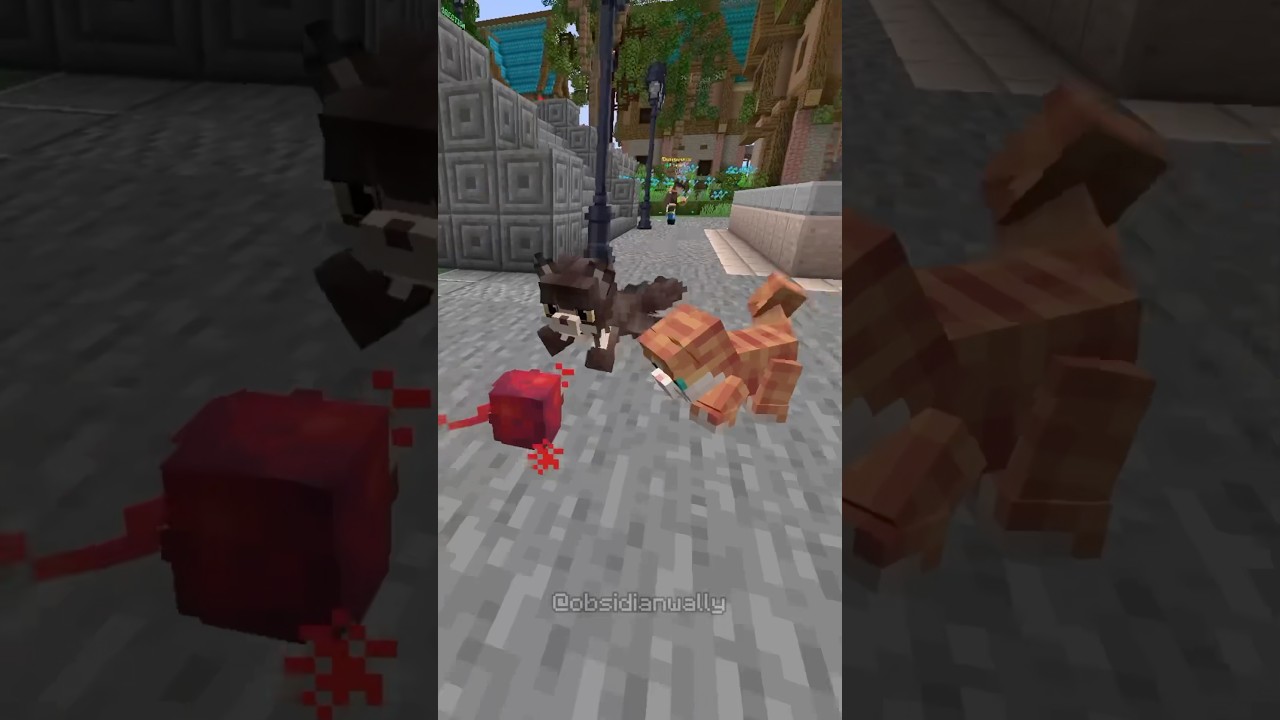 THE BEST RPG MINECRAFT SERVER #minecraft #minecrafthowto #minecraftguide