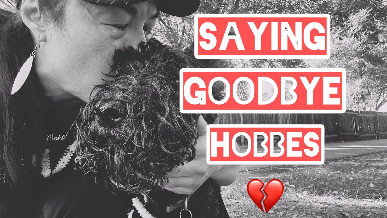 🐶…Самый тёмный, худший день сольной женской VanLife…Alone.