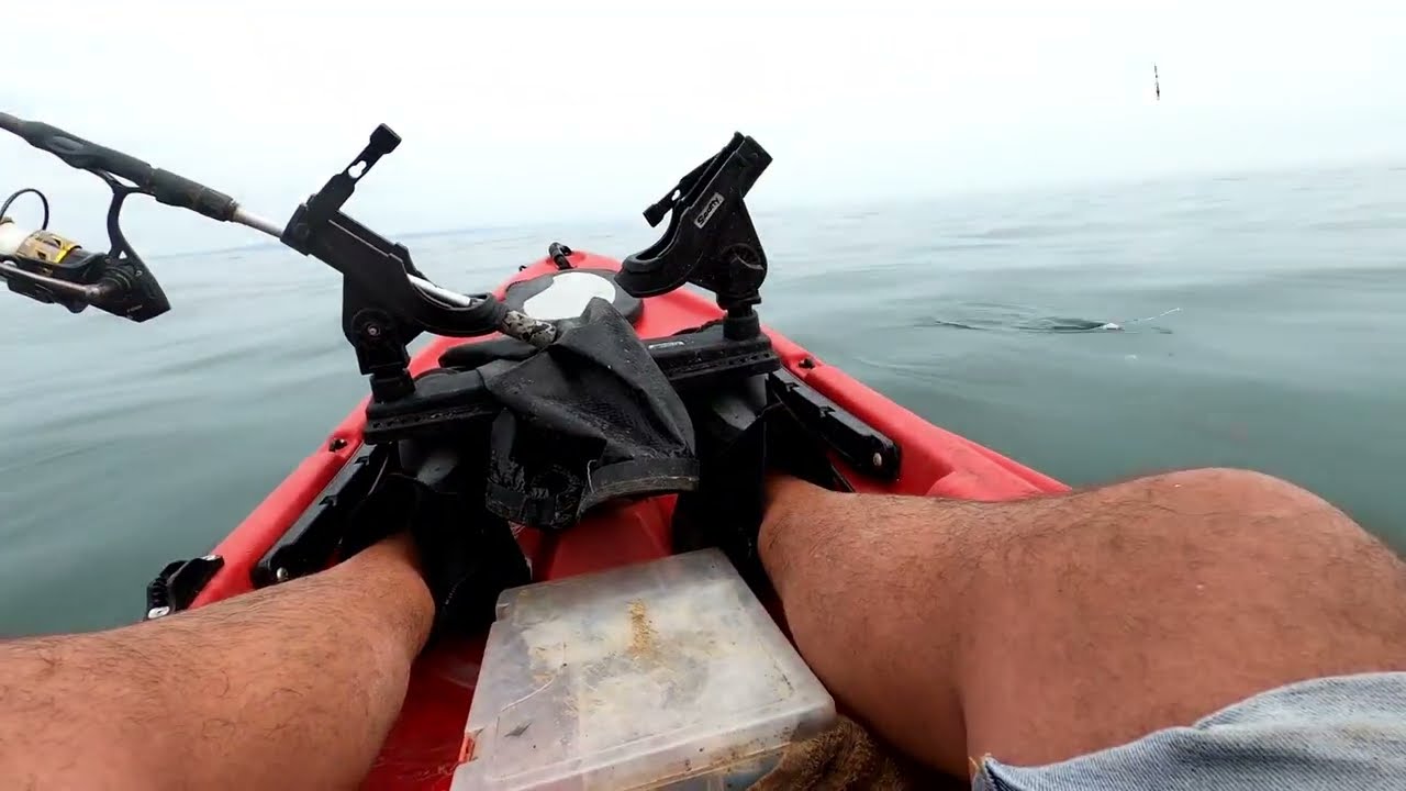 Kayak Fishing UK : Dolphin Show And Plenty of Fish, Mackerel, Wrasse, Seabass