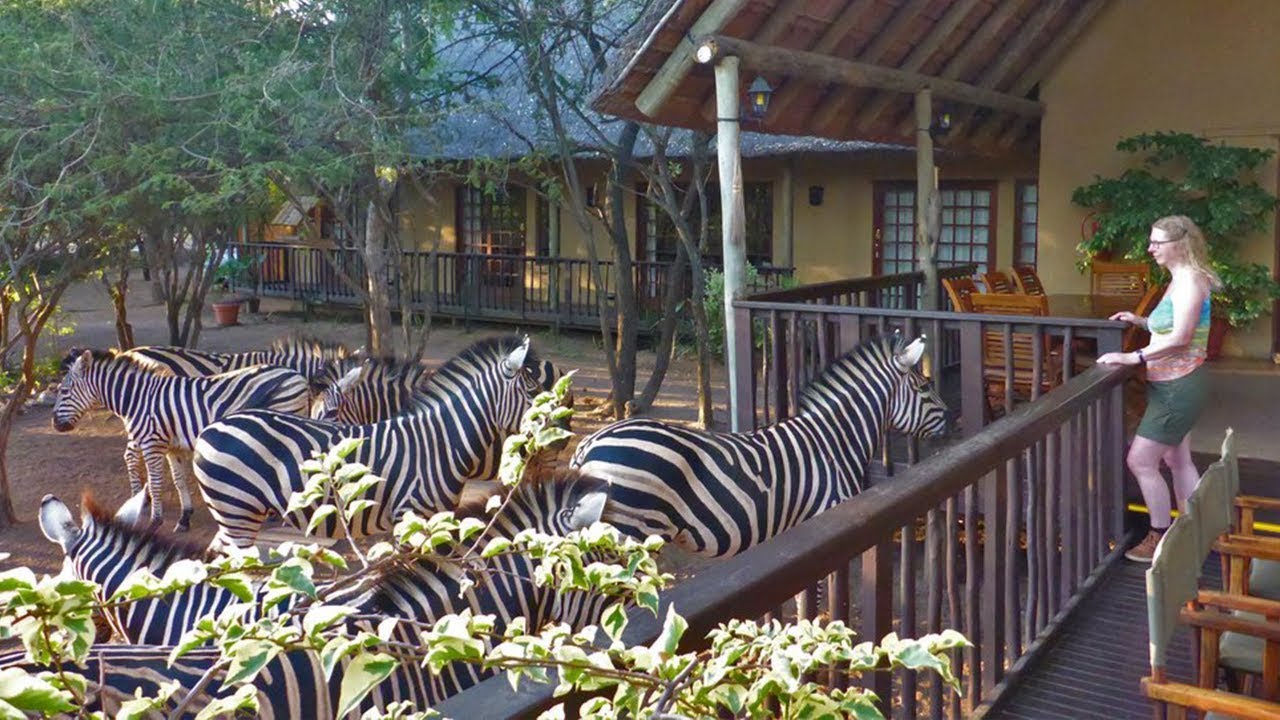 South Africa  - Marloth Park (Needles lodge)