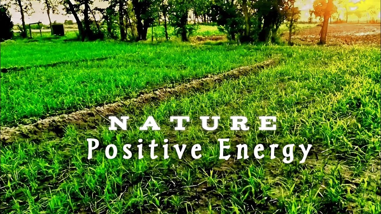 Nature Positive Energy