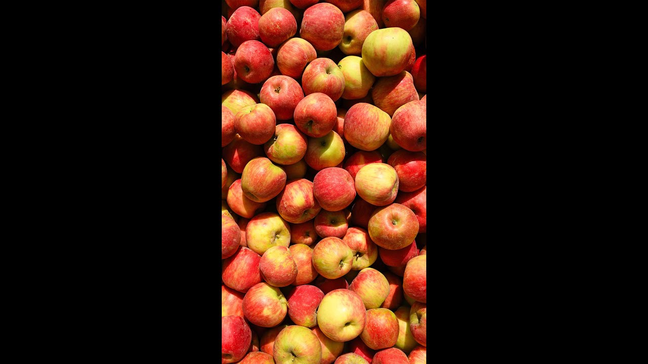 The Life of an Organic Apple