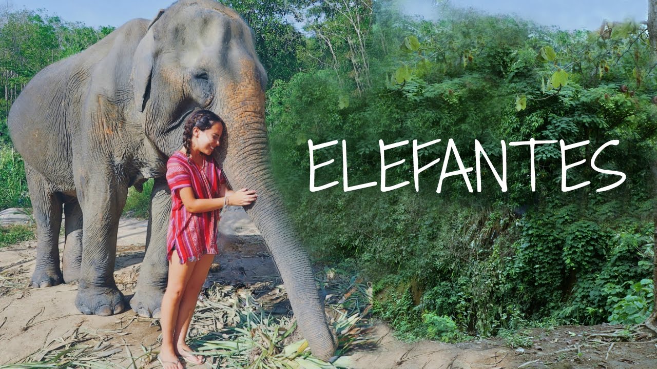 EXPERIENCIA INCREÍBLE CON ELEFANTES | KatyTheChic