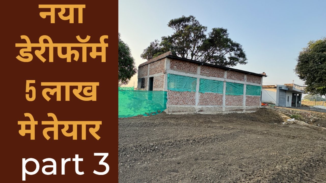 मात्र 5 लाख में आधुनिक सुविधाएं से बना जोरदार डेरी फ़ार्म देखिए पूरी जानकारी 