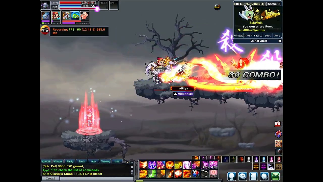 SoulSaverOnline - All Jobs Skill - EvilForce Janissary 2ndDivine