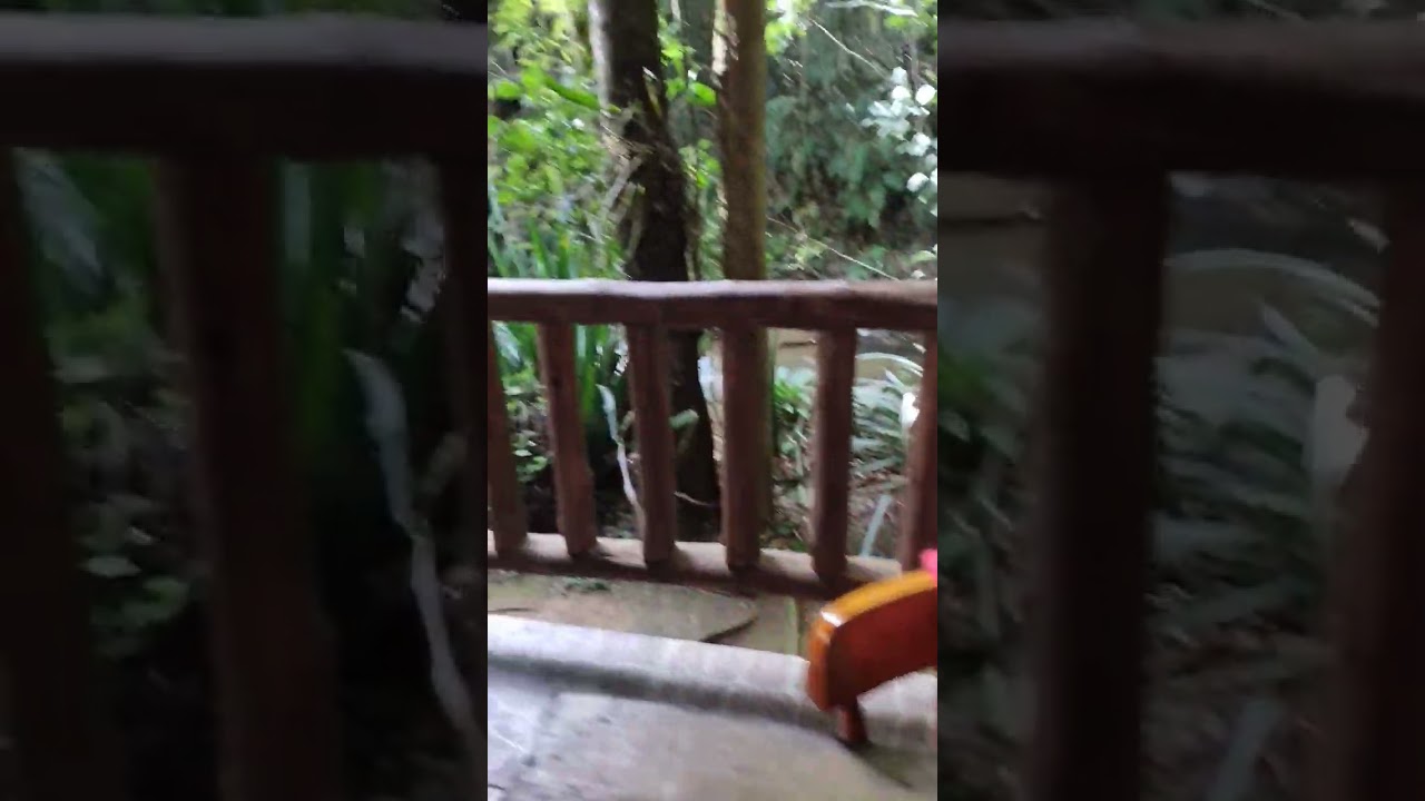 RESTAURANTE EM MEIO A CACHOEIRA - RECANTO DA ILHA- S&Atilde;O BONIF&Aacute;CIO-SC #viral #filosofia #viagem
