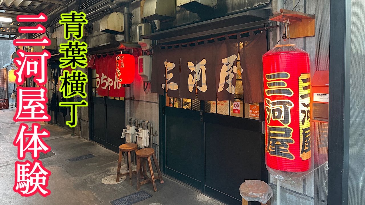 静岡 青葉横丁【三河屋】は静岡おでんだけじゃない名酒場。