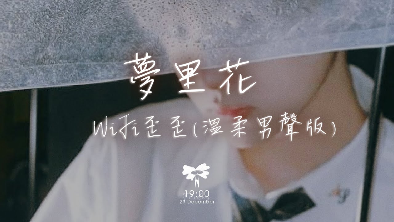 WiFi歪歪 - 夢里花 (溫柔男聲版)「唯一純白的茉莉花 盛開在琥珀色月牙」【動態歌詞】♪