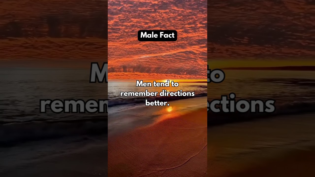 Why Guys Are Better at Remembering Directions! 🧭🚗