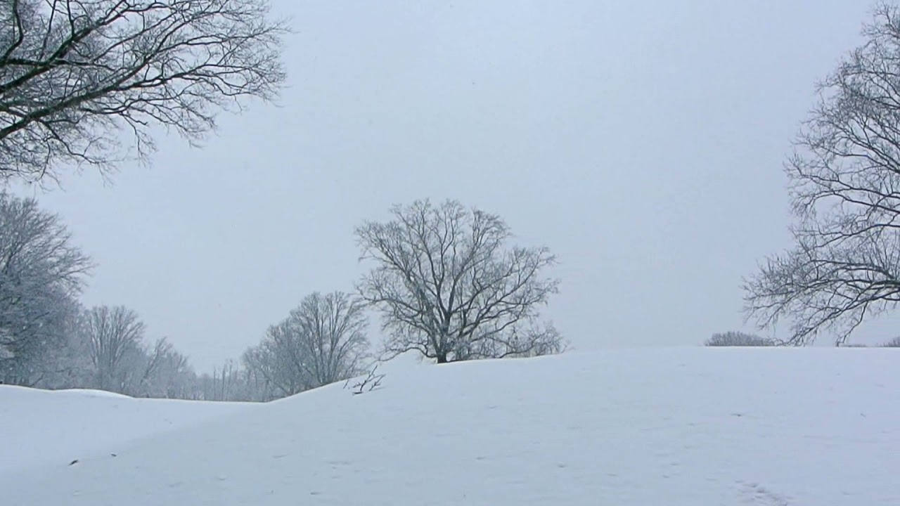 Brooklyn Snow Day 2022