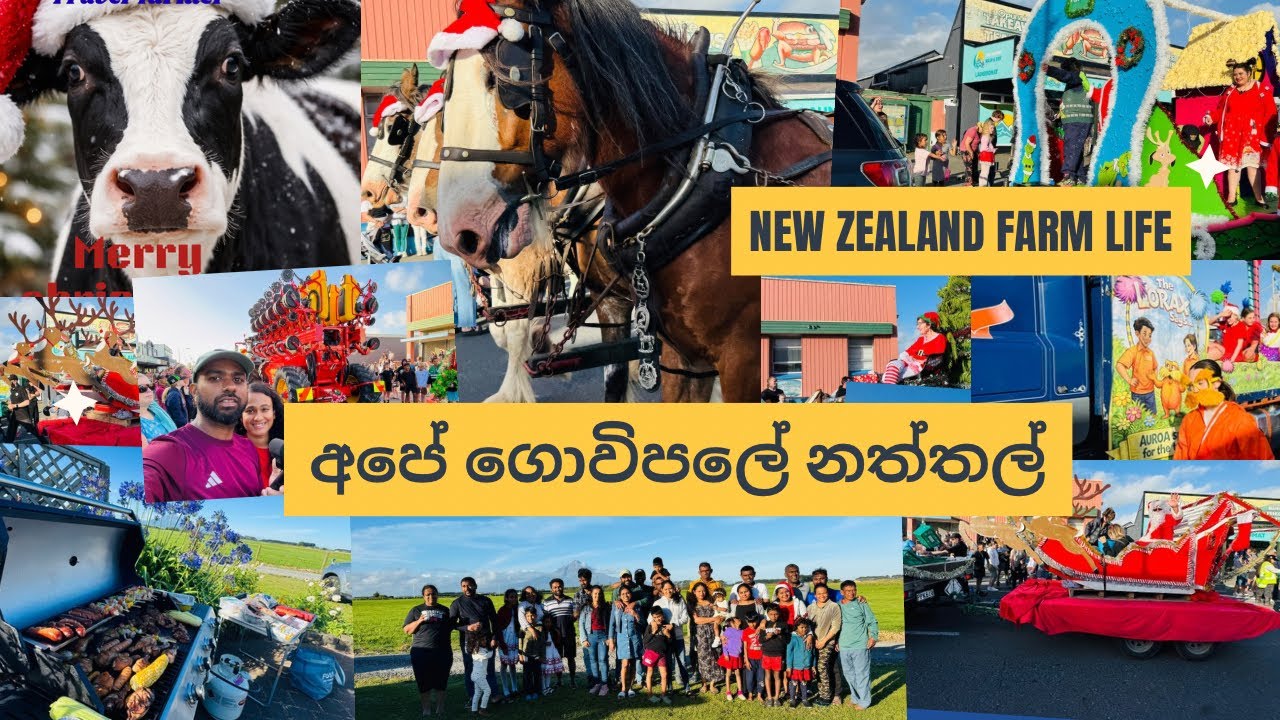 නත්තලේ BBQ රාත්‍රීය //නවසීලන්ත ගොවිපලේ ඡිවිතේ #travelfarmer 