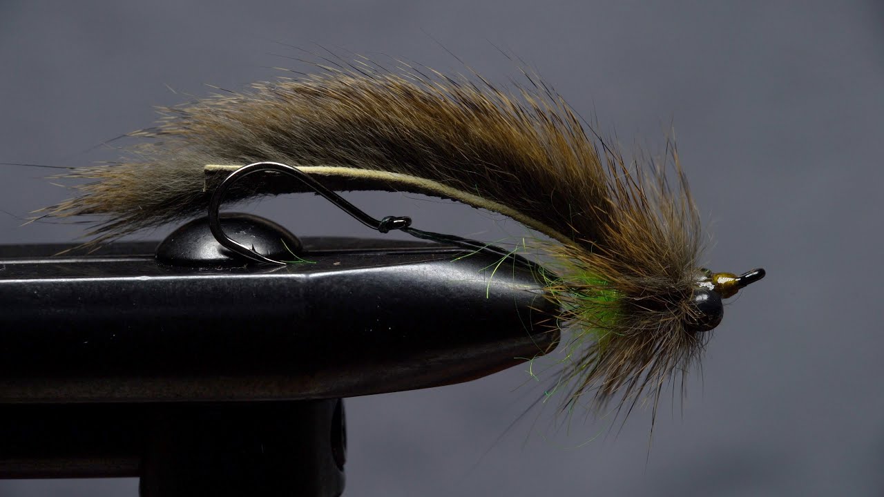 Intruder Leech