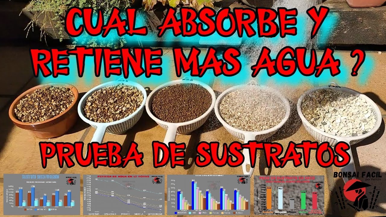 Absorcion y retencion de agua en sustrato de Bonsai - Bonsai Facil