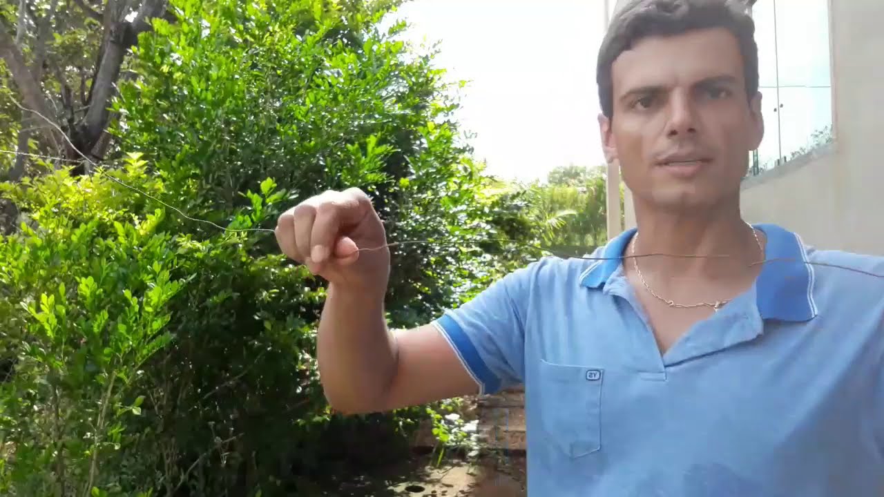 Cerca Viva Murta - Episódio II