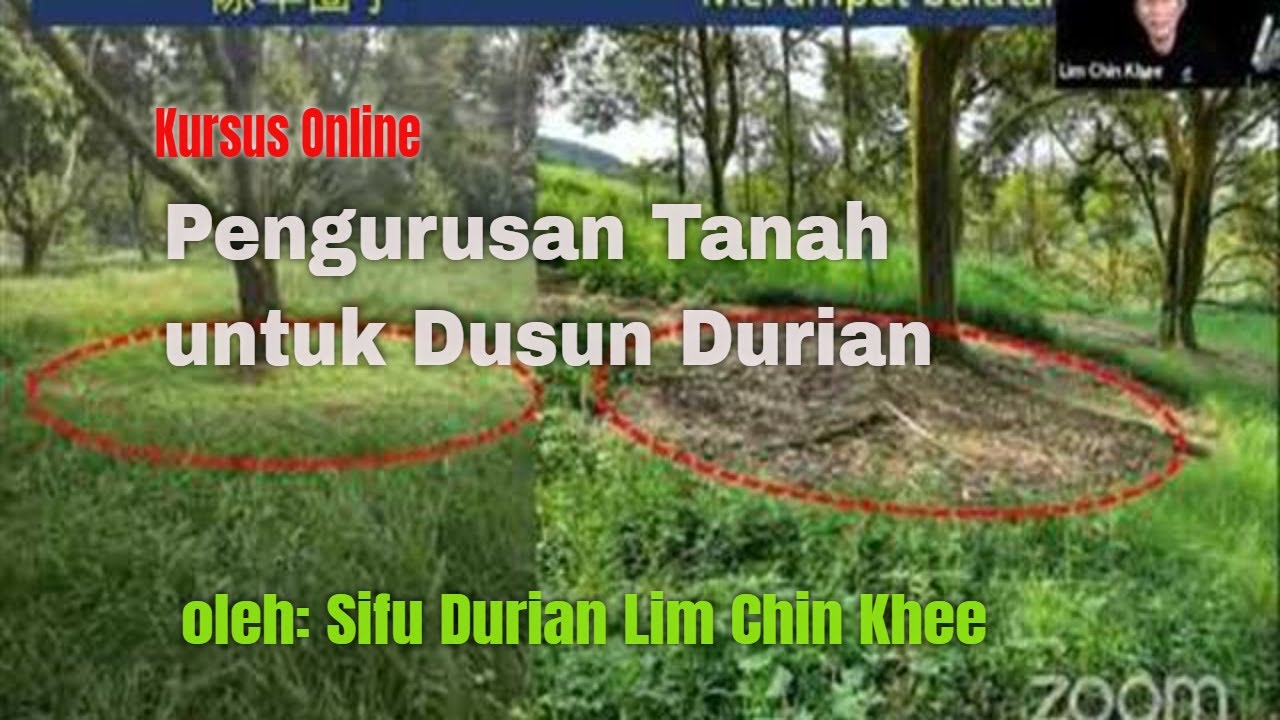 Pengurusan Tanah untuk Dusun Durian - Sifu Lim Chin Khee