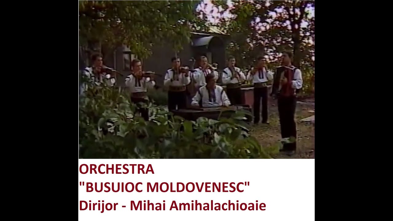 Orchestra 