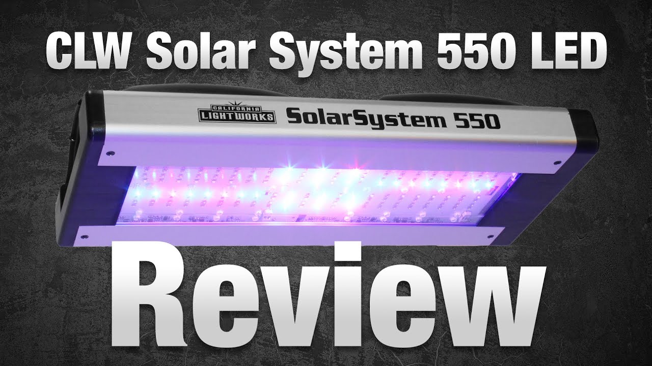 Обзор светодиодного фитолампа California Lightworks Solar System 550 &ndash; Hydrobuilder.com