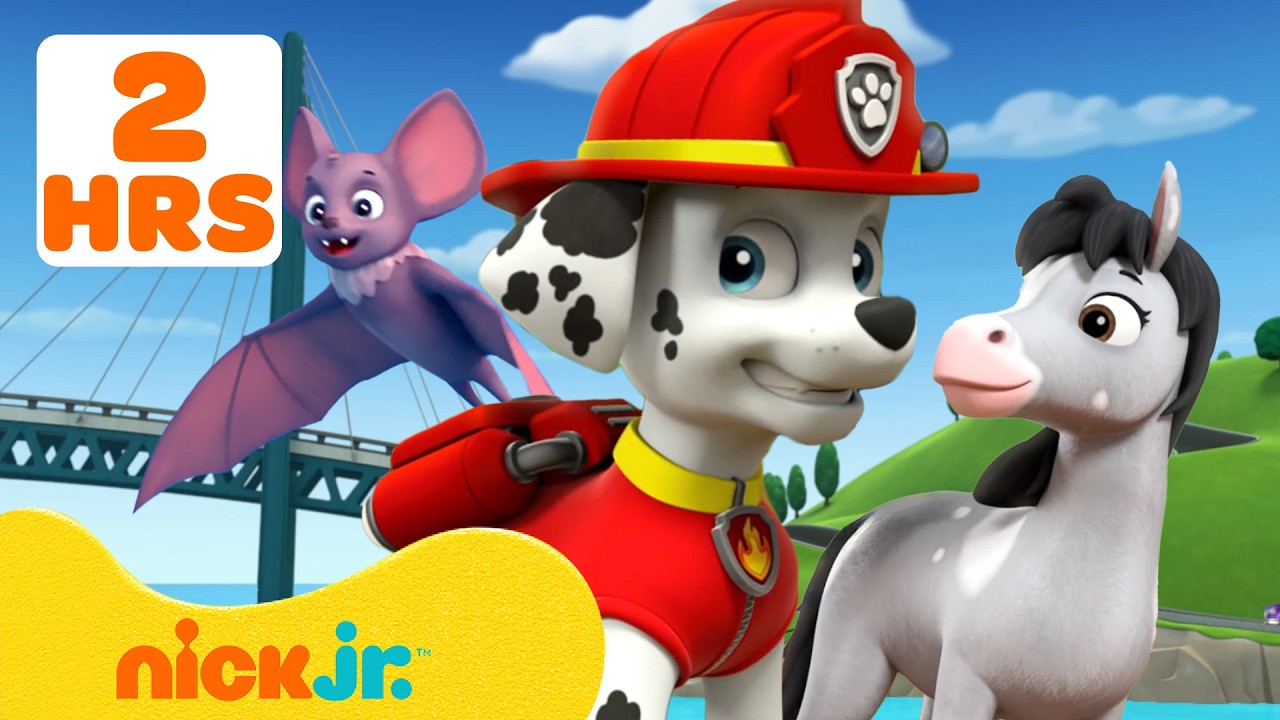 Paw Patrol - La Squadra dei Cuccioli | Missioni di Salvataggio degli Animali! #3 | Nick Jr. Italia