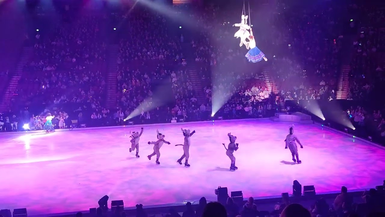Patin sur glace Disney spectacle 