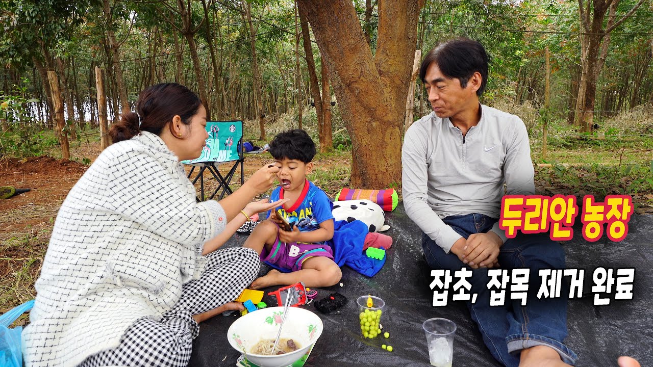 ep305 농장 잡초제거 완료? 했어요